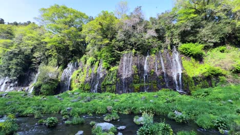 shiraito falls, located near mount fuji, is a serene, picturesque waterfall surrounded by lush greenery