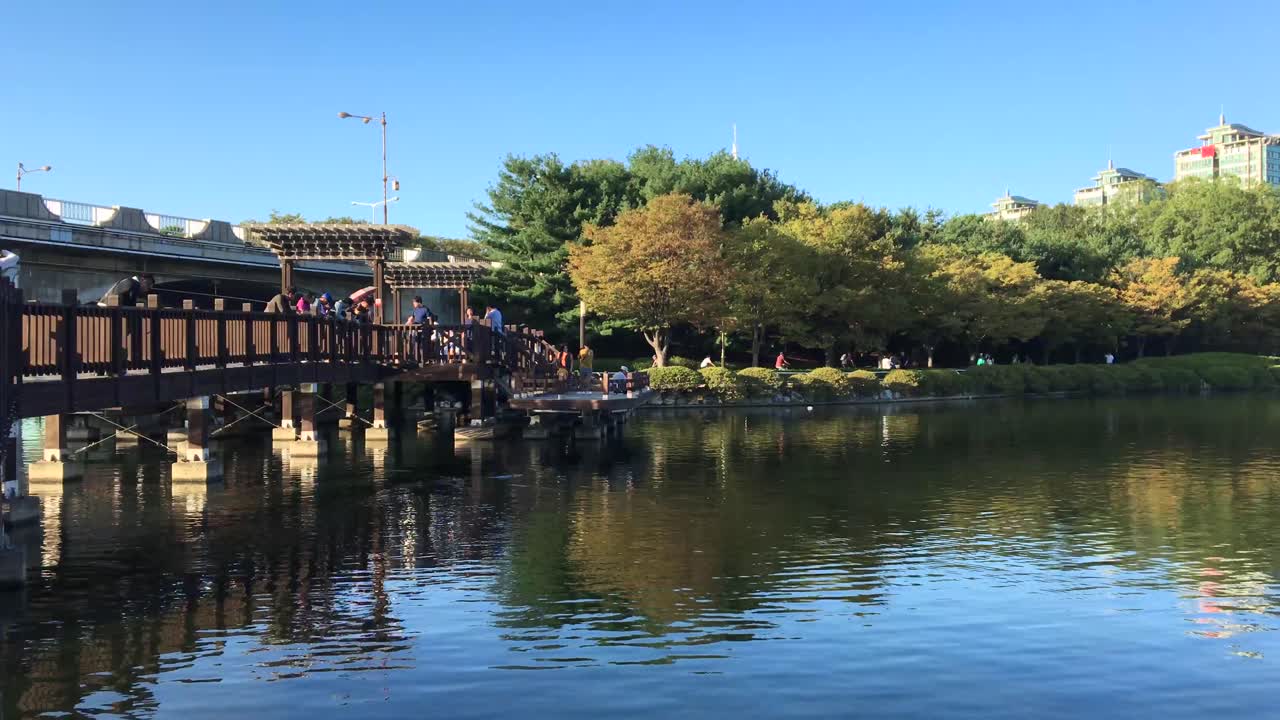 경기도 고양시 일산구 장항동 호수공원