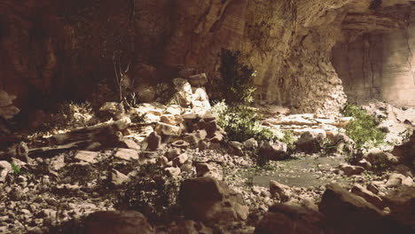exploration of a serene underground cave with lush greenery and rocky terrain