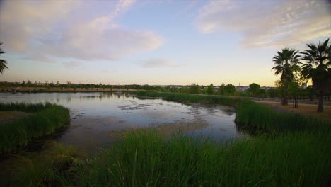 Lake-,-Castelo-Branco-cyti-lake