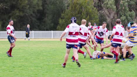 dynamic rugby game action over seven seconds