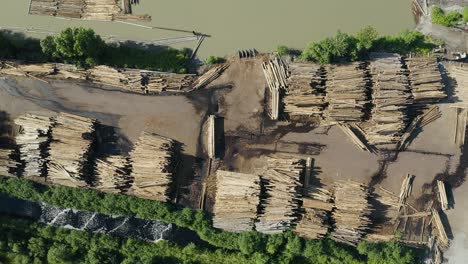 giant lumber yard in oregon