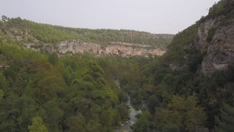 Bosque-Verde-árboles-Lago-Verano