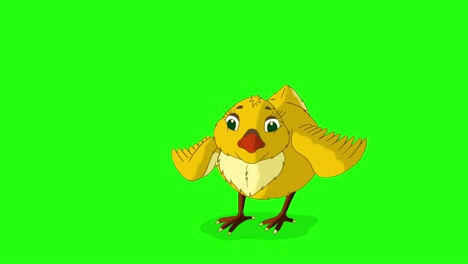 little orange chicken stands and pecks (chroma key)