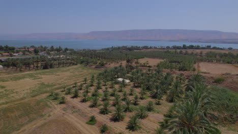 as margens do mar da galiléia e as montanhas de golan das plantações do kibutz kinneret