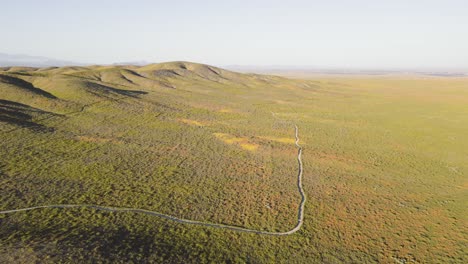 drones aéreos lapso de tiempo de super flor prados de flores naranjas y amarillas en el sur de california en la primavera con la gente caminando por el sendero
