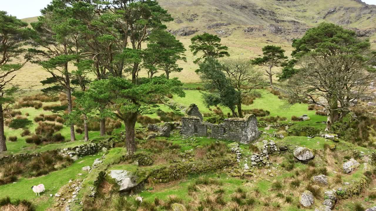 코메라그 산 워터포드 네드 코란스 테이  ⁇ 리 높은 오두막 봄 아침