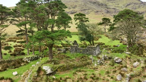 montañas de comeragh waterford ned currans cabaña en lo alto del valle de tay mañana de primavera