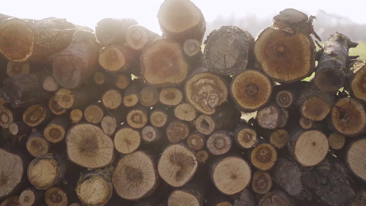 시골에 쌓인 목재의 클로즈업 뷰