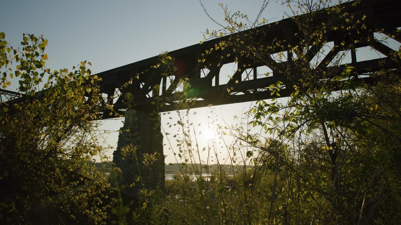 나무가 있는 켄터키 백라이트의 다리