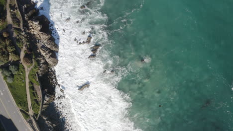 4k-Sobre-La-Bahía-De-Monterey-Y-La-Caminata-Recreativa-De-Pacific-Grove-Con-Un-Escalón-De-Pelícanos-Volando-Directamente-Debajo-De-La-Cámara