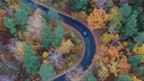 birdseye aerial view of lonely car on curvy road in colorful forest with autumn colors