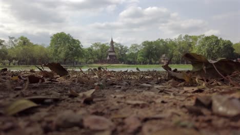 still frame on a temple surrounded by greenery far ahead at sukhothai,tiny lizard moving in between deciduous leaves and leaves fallin slowly.
