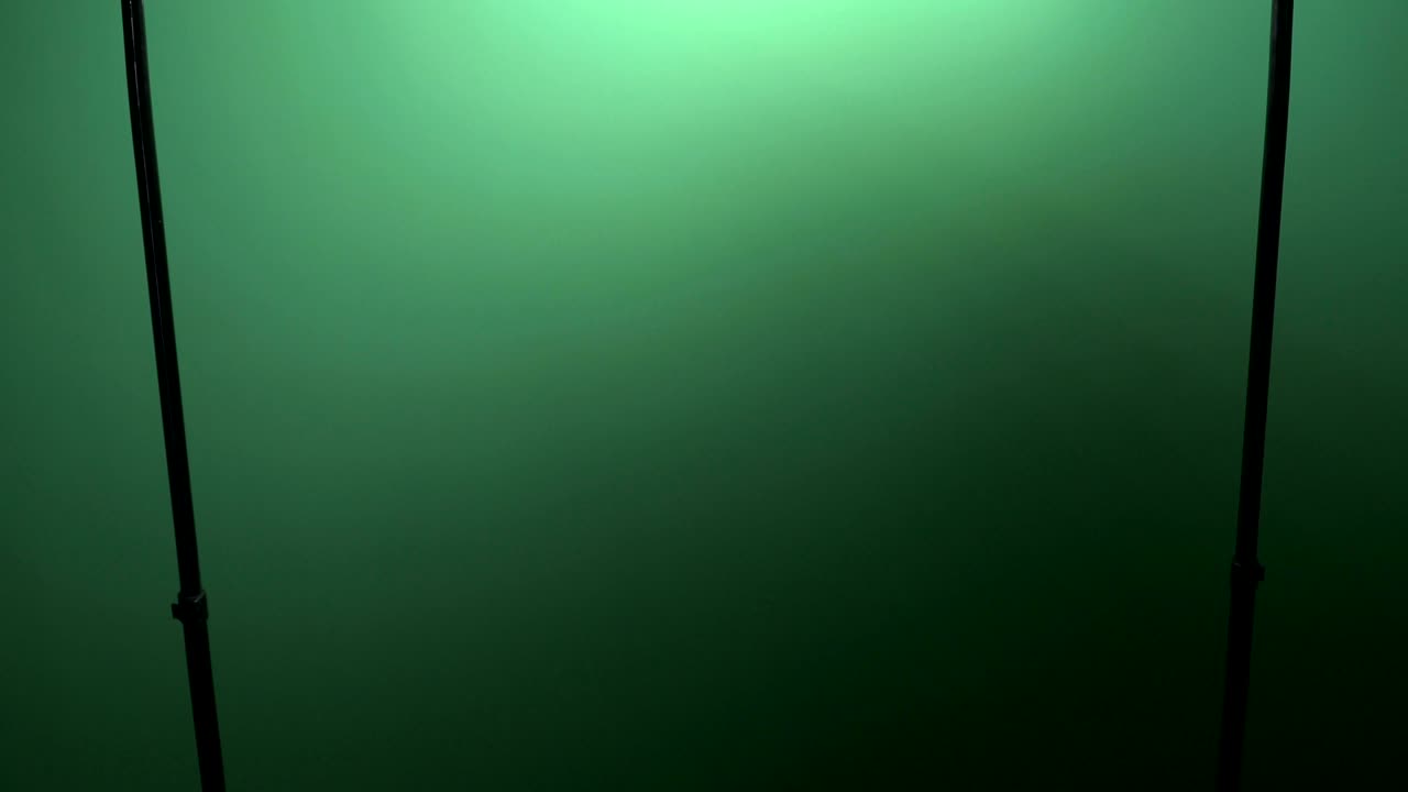 luz de video. dispositivos para la grabación de video blogs