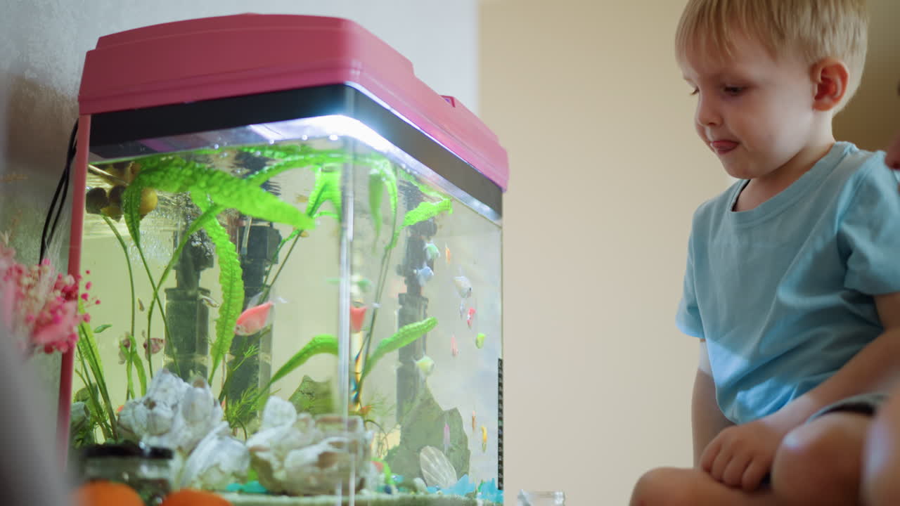 Young boy in blue shirt sits near aquarium filled with colorful fish while adult hand gently touches his forehead, scene showing care, curiosity, interaction, family connection,calm atmosphere