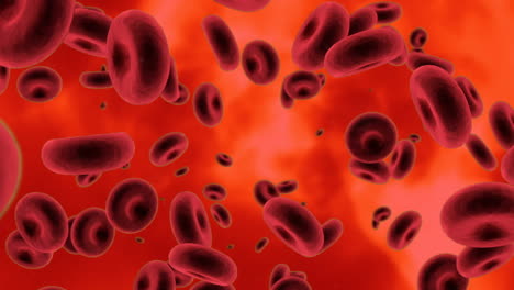 Animation-of-blood-cells-on-red-background