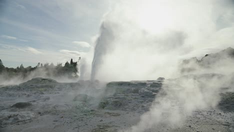 Rotorua-steamy-geothermal-geyser,-New-Zealand,-Slow-motion-wide-shot