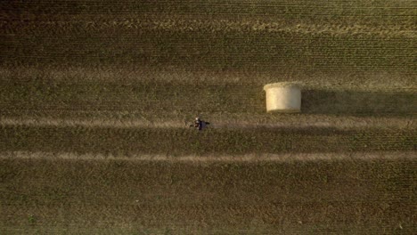 Drohnenaufnahme-Eines-Mannes,-Der-Nach-Der-Ernte-Mitten-Auf-Dem-Feld-Spazieren-Geht