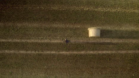 aerial top drone shot of a man walking in the middle of the field after harvest