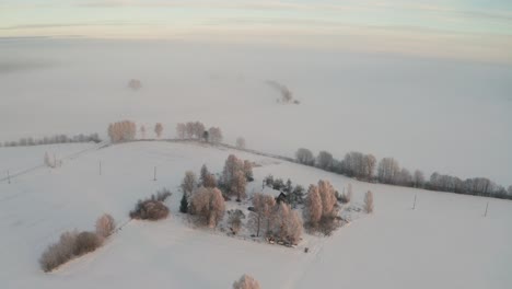 Vista-Aérea-De-La-Hora-Dorada-De-Invierno-Sobre-El-Patio-Del-Campo-Rodeado-De-árboles