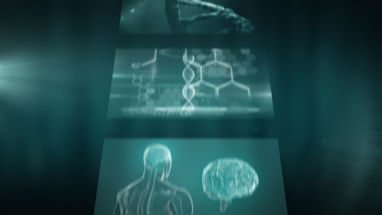 vídeo generado digitalmente del procesamiento de datos médicos