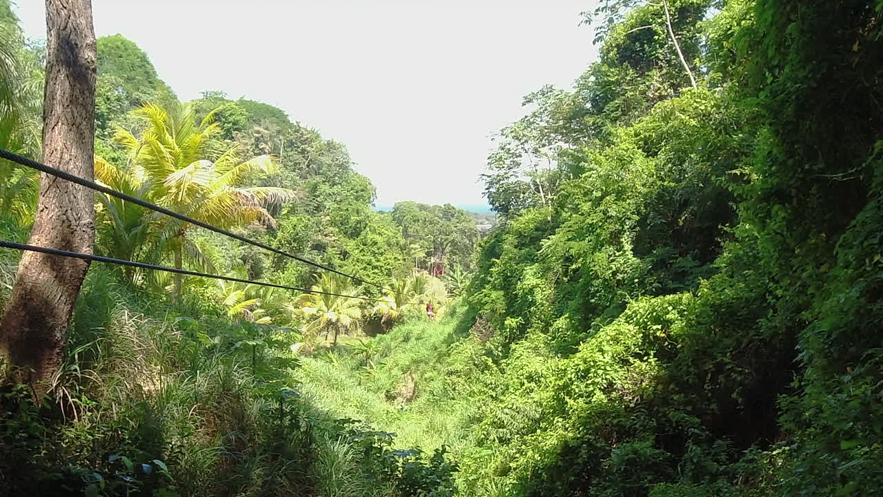 hombre en zipline zip a través de la limpieza en la densa jungla verde en honduras