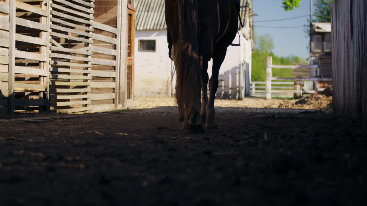 Horse and Rider Walking Through Stable
