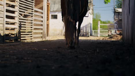 horse and rider walking through stable