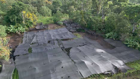 Vivero-De-Plantas-Cubierto-Con-Redes-De-Sombra-Durante-El-Día-En-Polo,-Provincia-De-Barahona,-República-Dominicana