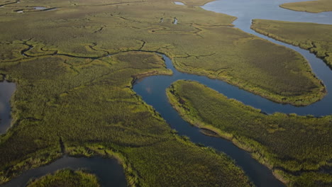 aerial view of a lush marshland with winding rivers