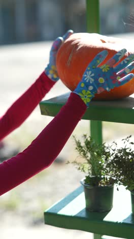 una mujer recogiendo una calabaza.
