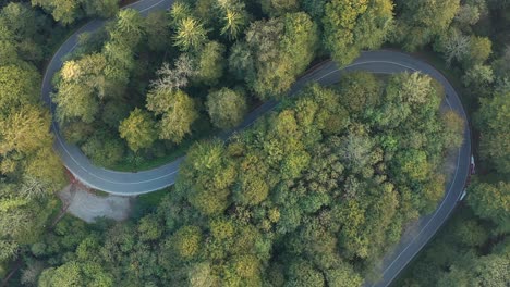 Bicycle-rider-is-driving-down-a-autumn-road-in-a-mountain-landscape,-captured-steady-straight-from-above