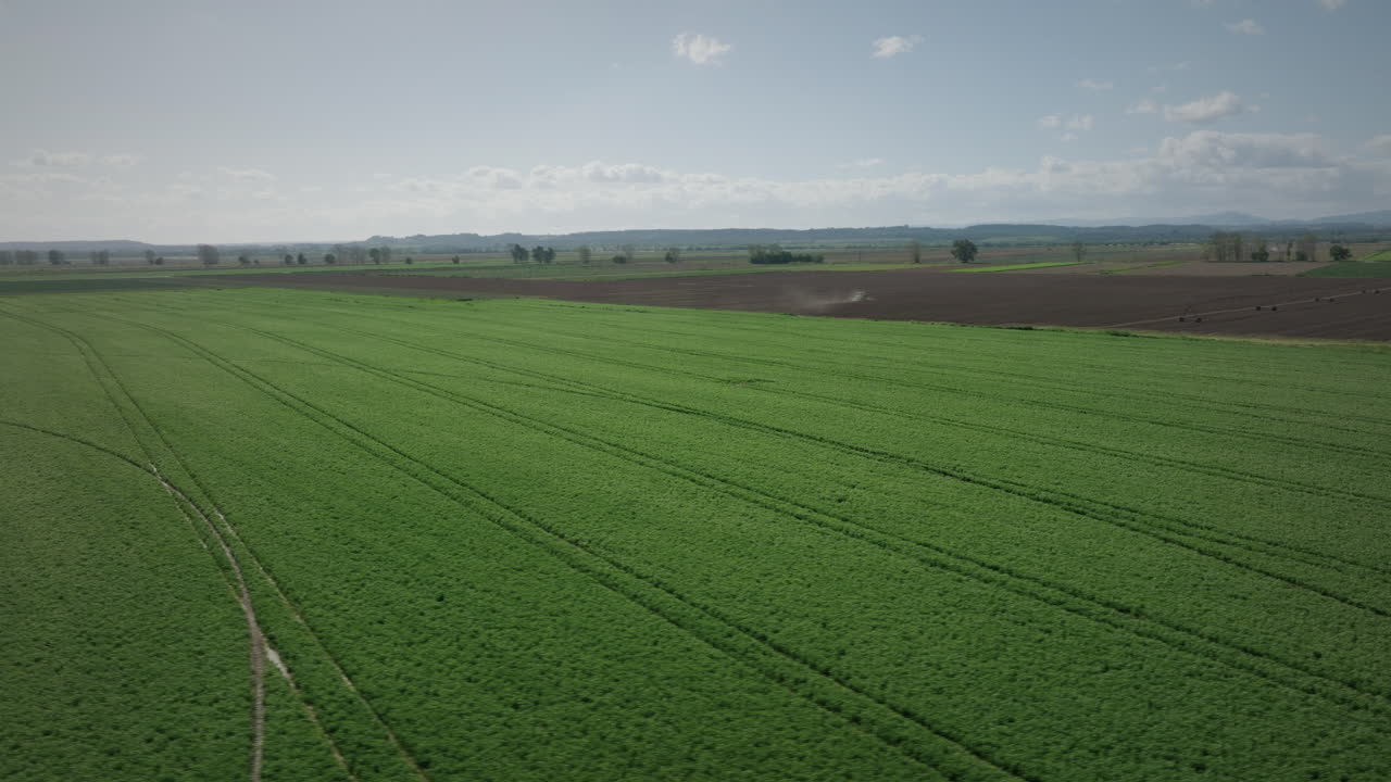 Green agricultural field aerial shot