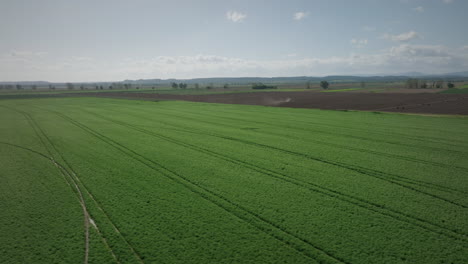 green agricultural field aerial shot