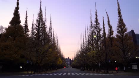 Wide-view-of-Gaienmae-alley-during-early-morning-with-autumn-colors