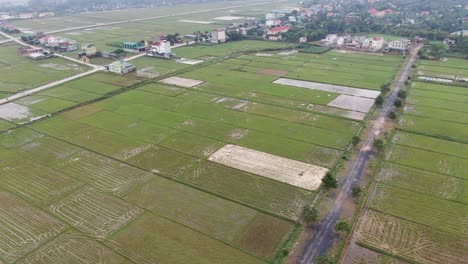 Rotating-drone-shot-of-wide-rice-field-farm-along-the-highway-from-rural-Northern-Vietnam