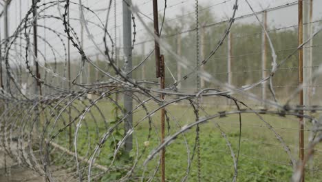 barbed wire fence, high security razor wire fence, protecting jail time prison escape, high security border fence