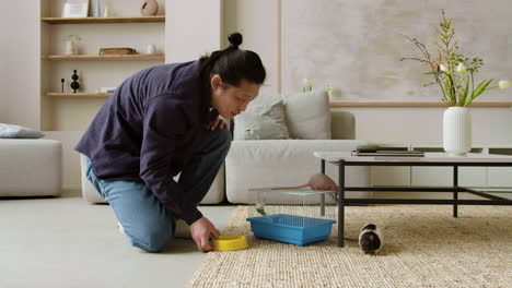 man feeding pets