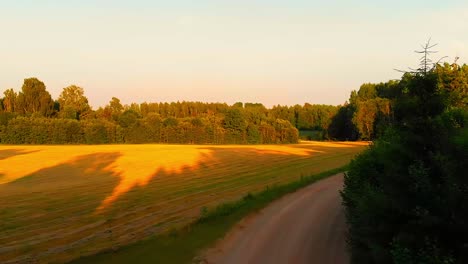 Luftaufnahme-Einer-Waldseitenstraße,-Die-In-Der-Morgendämmerung-In-Eine-Grasbewachsene-Wiese-Mündet