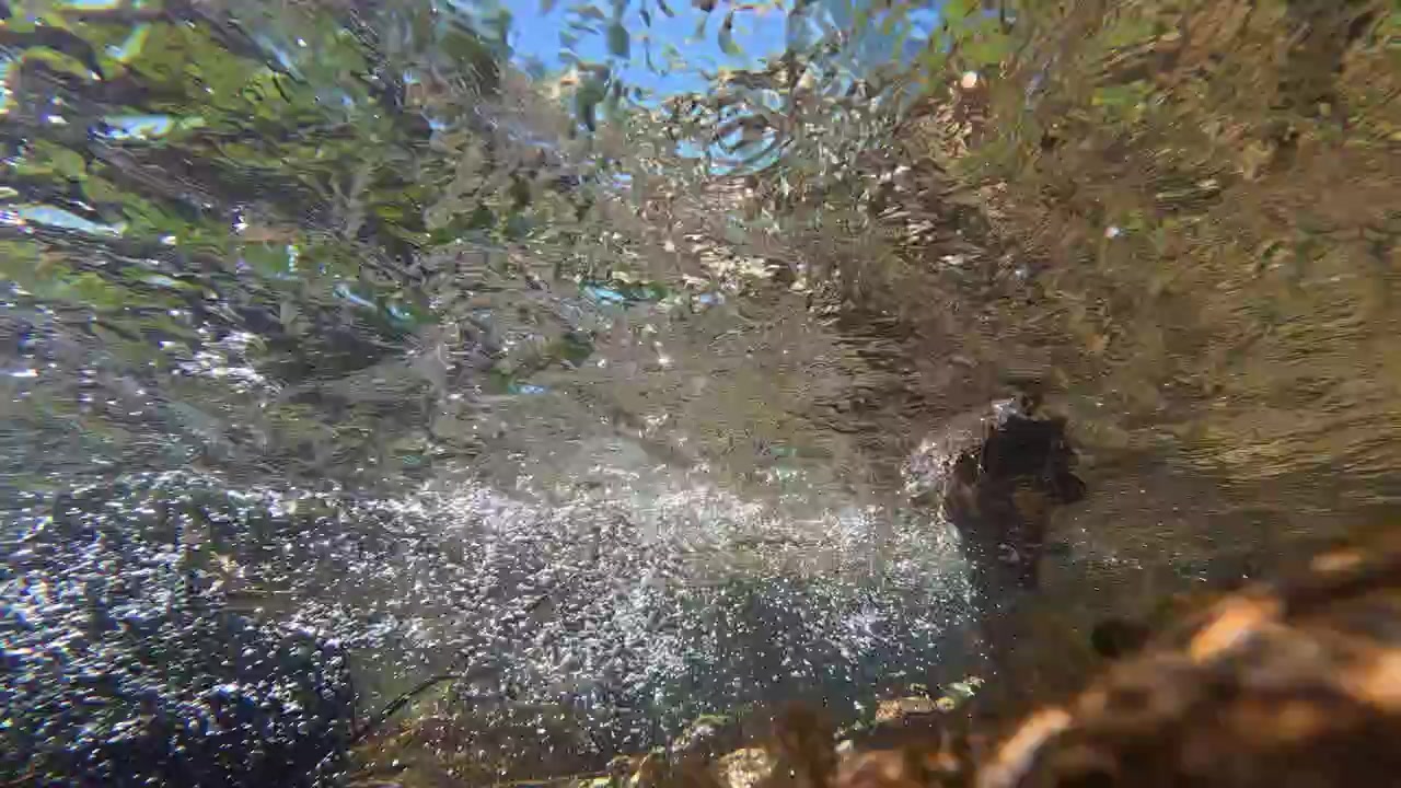Vivid underwater footage from a pristine Portuguese river shows sunlight sparkling on clear water, energetic currents, and floating bubbles, capturing pure nature in dynamic close-up detail.