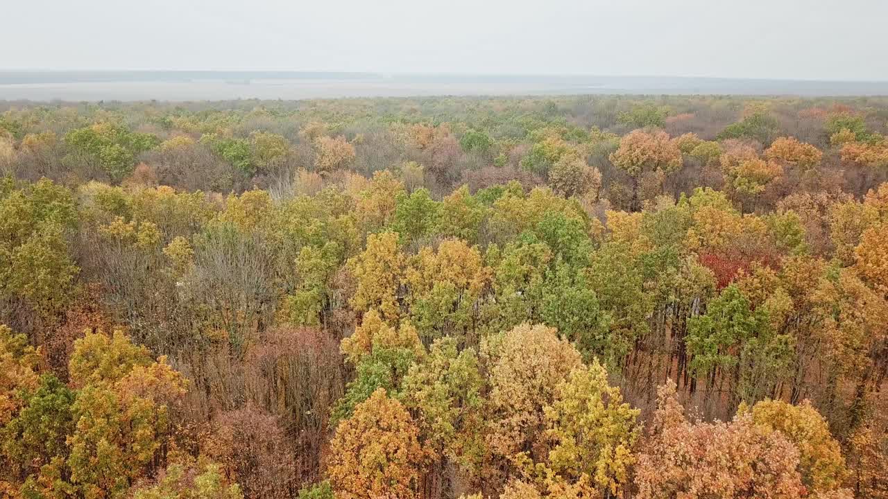 Flight over the tops of autumn forest. Drone view of colorful landscape of trees under the blue sky in fall season.