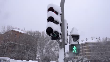 Ampel-Mit-Viel-Schnee-Bedeckt