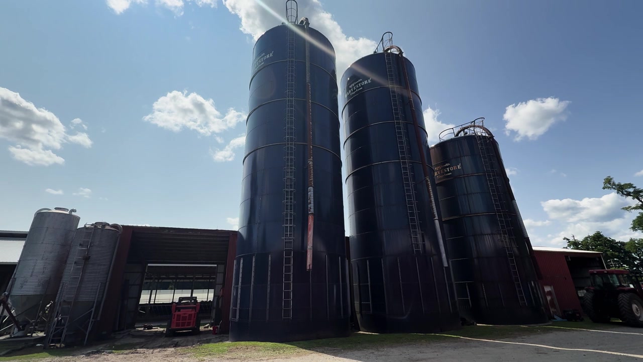 Alti silos per cereali si ergono accanto a edifici agricoli sotto un cielo azzurro brillante con nuvole.