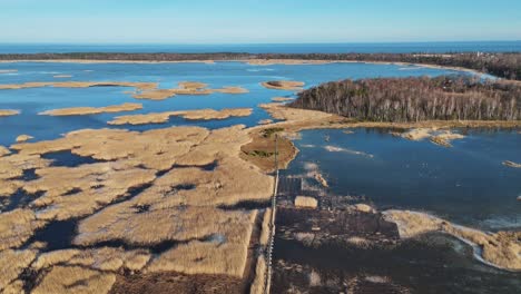sendero de tablas de madera a través del lago kaniera cañas disparo aéreo de primavera lapmezciems, letonia