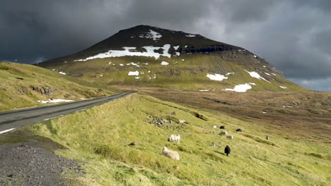 Ovejas-Pastando-Cerca-De-La-Montaña-Vadhorn-En-Eysturoy,-Islas-Feroe,-Dinamarca