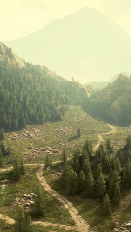 a winding dirt road through a forested mountain valley