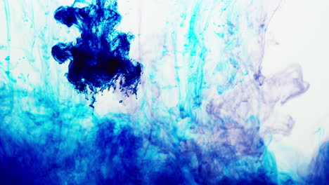 purple and blue paint or dye dropped into water against white background to create swirling colourful smoke background 6