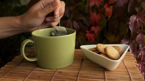 relaxing cozy weekend autumn moment, tea and biscuits outside in fall