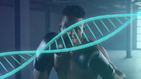 Animation-of-dna-strain-over-man-exercising-with-boxing-gloves