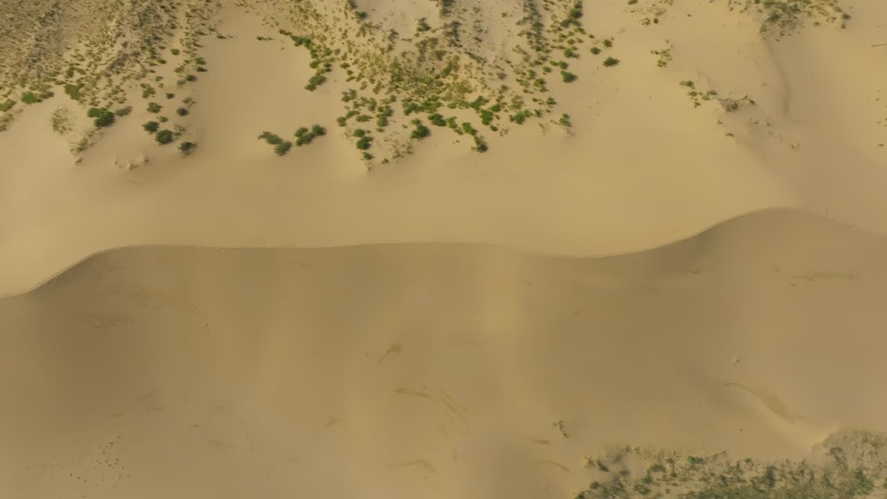 Vista aerea della duna di sabbia Sarykum con arbusti sparsi e creste modellate dal vento in Dagestan, Russia, vicino a Makhachkala, paesaggio desertico naturale e sfondo di viaggio.